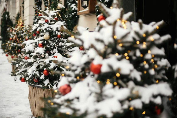 Christmas street decor. Stylish christmas trees with red and gol — Stock Photo, Image