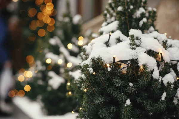 クリスマスストリートの装飾。金の祭りとスタイリッシュなクリスマスツリー — ストック写真