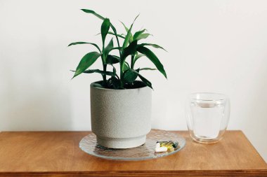 Diyet takviyeleri, biyolojik olarak aktif katkı maddeleri. Omega 3, spi