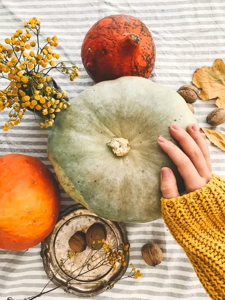 Рука в желтом свитере с тыквой и орехами, цветами, осенью — стоковое фото