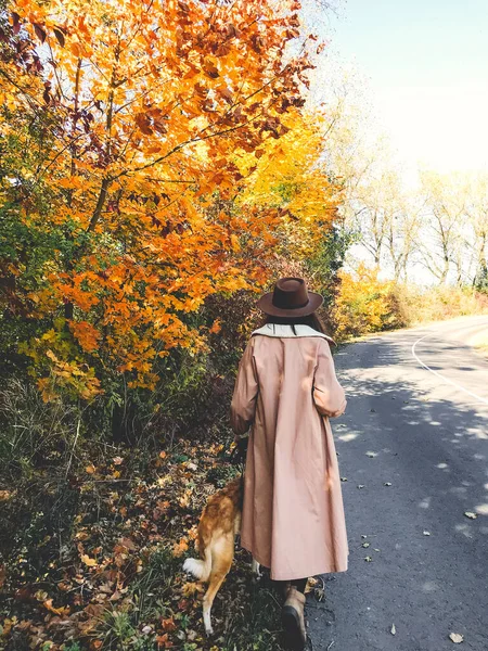 Hipster-Frau, die mit ihrem goldenen Hund unterwegs ist und im Herbst spazieren geht — Stockfoto