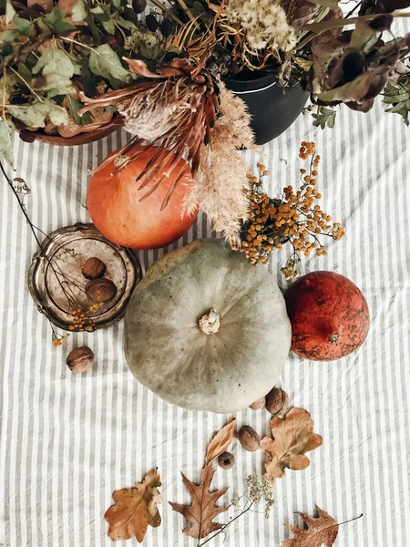Pumpkins, nuts,yellow flowers, dried herbs, fall leaves on rusti — Stock Photo, Image