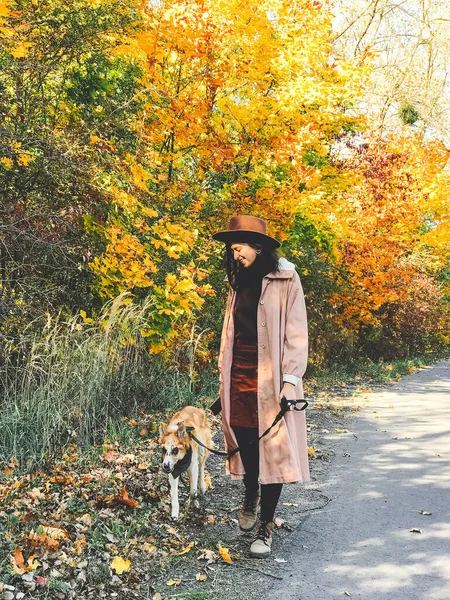 Hipster-Frau, die mit ihrem goldenen Hund unterwegs ist und im Herbst spazieren geht — Stockfoto