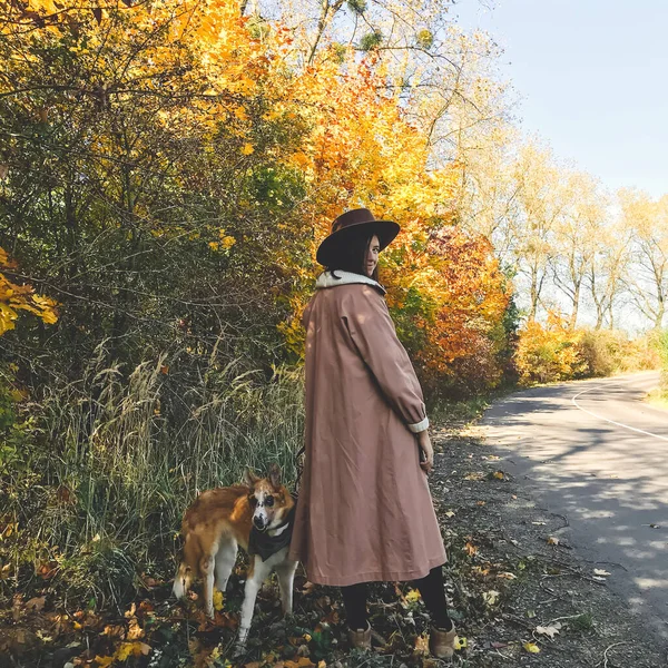 Hipster mujer viajando con su perro de oro, caminando en otoño s —  Fotos de Stock