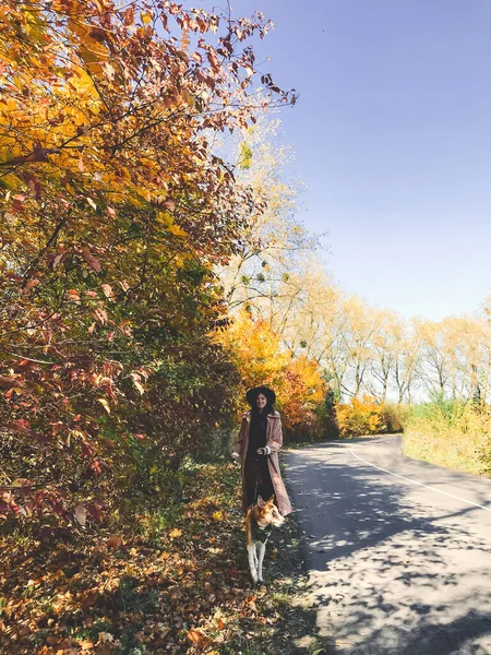 Hipster mujer viajando con su perro de oro, caminando en otoño s —  Fotos de Stock