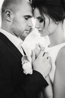 Muhteşem gelin ve damat gün batımında nazikçe sarılıyorlar. Portrai