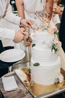 Gelin ve damat düğün resepsiyonunda şık bir düğün pastası kesiyorlar.