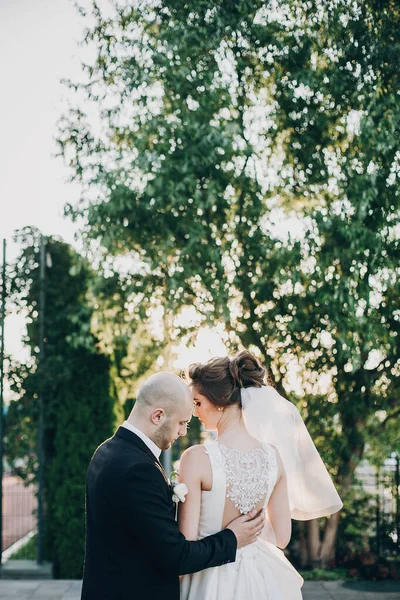 Magnifique mariée et marié embrassant doucement dans la lumière du coucher du soleil. Beautif — Photo