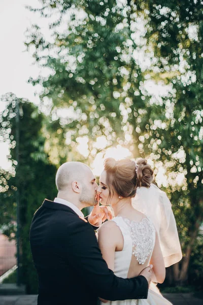 Κομψή νύφη και γαμπρός φιλιούνται απαλά στο φως του ηλιοβασιλέματος. Όμορφα. — Φωτογραφία Αρχείου
