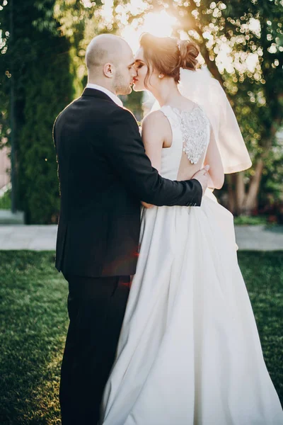 Stílusos menyasszony és vőlegény gyengéden csókolóznak napnyugtakor. Gyönyörű vagy. — Stock Fotó
