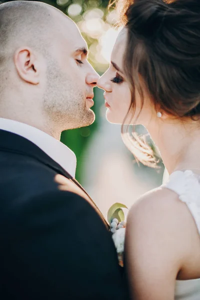 Великолепная невеста и жених нежно целуются в лучах заката. Портраи — стоковое фото