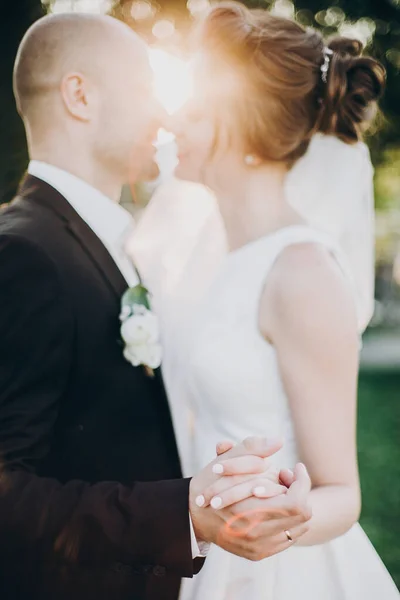 Superbe mariée et marié tenant doucement les mains en gros plan au coucher du soleil — Photo