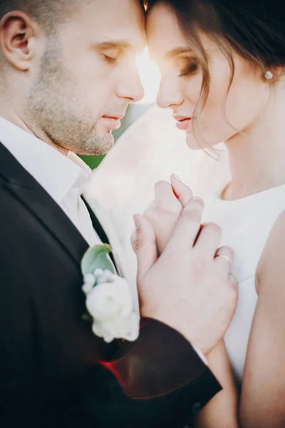 Πανέμορφη νύφη και γαμπρός αγκαλιάζονται απαλά στο φως του ήλιου. Πόρτα — Φωτογραφία Αρχείου