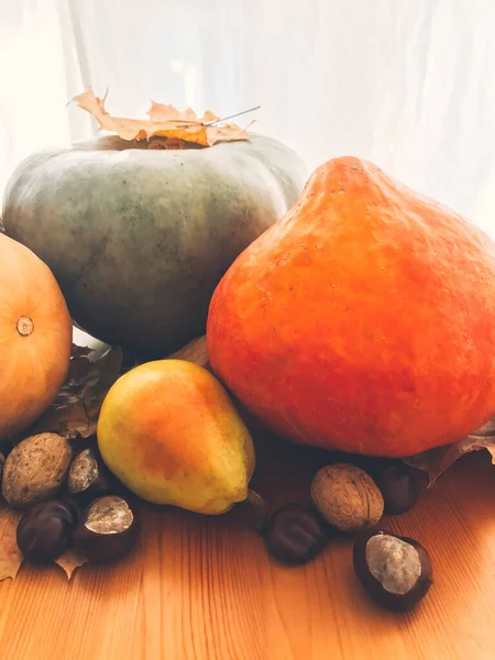 Гарбузи, осіннє листя, яблука, груші, кукурудза, горіхи і каштани — стокове фото
