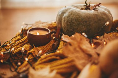 Sıcak sonbahar atmosferik görüntüsü. Mutlu Şükran Günleri Balkabağı ile