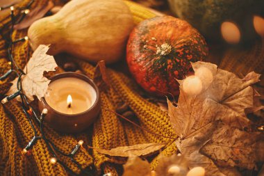 Sıcak sonbahar atmosferik görüntüsü. Mutlu Şükran Günleri Balkabağı ile