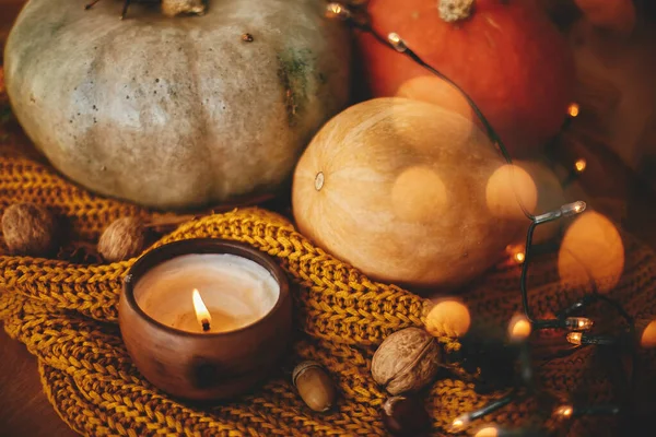 Calabazas con vela, hojas de otoño, maíz, nueces, castañas, cinn —  Fotos de Stock