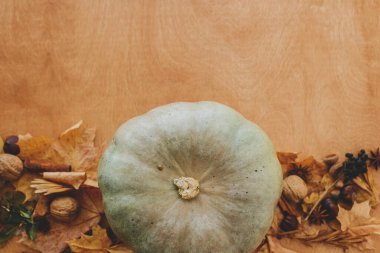 Mutlu Şükran Günleri Şık balkabağı, sonbahar yaprakları, cevizler, kestaneler, kır ağacından yapılmış meşe palamutları. Metin için yeri olan düz bir yer. Sonbahar mevsimsel hasat. Merhaba sonbahar