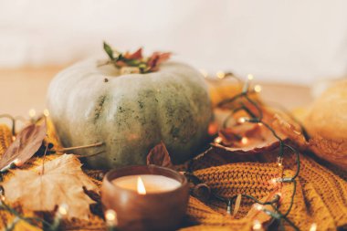 Merhaba sonbahar. Keyifsiz bir görüntü. Balkabakları, sonbahar yaprakları, mum, sıcak ışıklar ve taşra arka planında örülmüş sarı kazak. Seçici odak