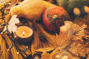 Merhaba sonbahar. Keyifsiz bir görüntü. Balkabakları, sonbahar yaprakları, mum, sıcak ışıklar ve taşra arka planında örülmüş sarı kazak. Seçici odak