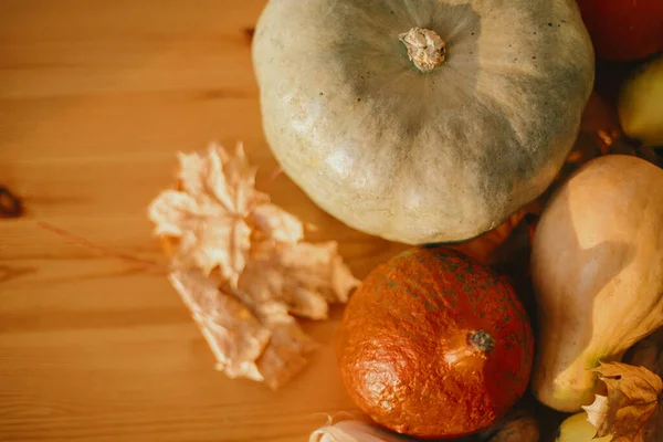 Calabazas Hojas Otoño Nueces Castañas Maíz Manzana Pera Sobre Mesa — Foto de Stock