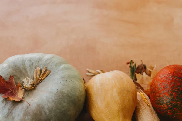 Pompoenen Herfstbladeren Maïs Walnoten Kastanjes Eikels Grenzen Aan Rustieke Houten — Stockfoto