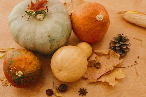 Feliz Día Acción Gracias Calabazas Hojas Otoño Bellotas Castañas Cono —  Fotos de Stock