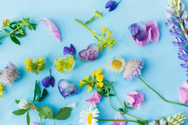 Bloemen Ijsblokjes Verse Zomerbloemen Plat Lag Kleurrijke Wilde Bloemen Bevroren — Stockfoto