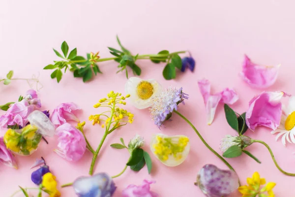 Hallo Zomer Concept Bloemenijsblokjes Verse Zomerbloemen Kleurrijke Wilde Bloemen Bevroren — Stockfoto