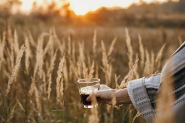 Kırsal kesimdeki bitkilerin arka planında güneşli ve sıcak bir ışıkta cam bardaktaki taze kahve. Seyahatte demlenen alternatif kahve. Atmosferik sükunet anı.