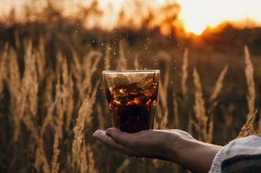 Kahve damlatır ve güneşe düşer. Kırsal kesimlerde güneş ışığı altında cam bardaktan sıcak kahve dökmek. Seyahatte demlenen alternatif kahve. Atmosferik sükunet anı.