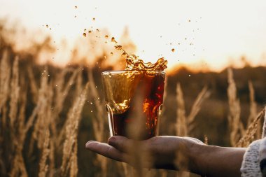 Kahve damlatır ve güneşe düşer. Kırsal kesimlerde güneş ışığı altında cam bardaktan sıcak kahve dökmek. Seyahatte demlenen alternatif kahve. Atmosferik sükunet anı.