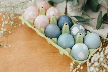 Kırsal masada çiçekli karton tepside doğal boya Paskalya yumurtaları. Modern pastel pembe ve mavi paskalya yumurtaları organik pancar, kırmızı lahana, karikatür çayı ile boyanmış. Sıfır kayıp tatil