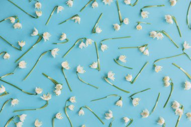 Çiçek deseni. Mavi düz beyaz bahar çiçekleri yatıyordu. Merhaba bahar. Hoş bir tebrik kartı. Mutlu kadınlar günü konsepti. Anneler Günün kutlu olsun. Bahar kar taneleri