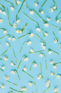 Mavi düz beyaz bahar çiçekleri yatıyordu. Çiçek deseni. Merhaba bahar. Hoş bir tebrik kartı. Mutlu kadınlar günü konsepti. Anneler Günün kutlu olsun. Bahar kar taneleri