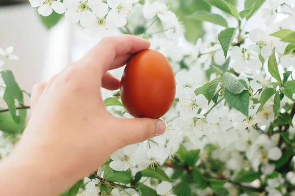 Frohe Ostern Glückwunschkarte Hand Hält Modernes Osterei Vor Dem Hintergrund — Stockfoto