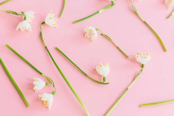 Bílé Jarní Květy Pastelové Růžové Květinový Módní Vzor Stylové Jarní — Stock fotografie