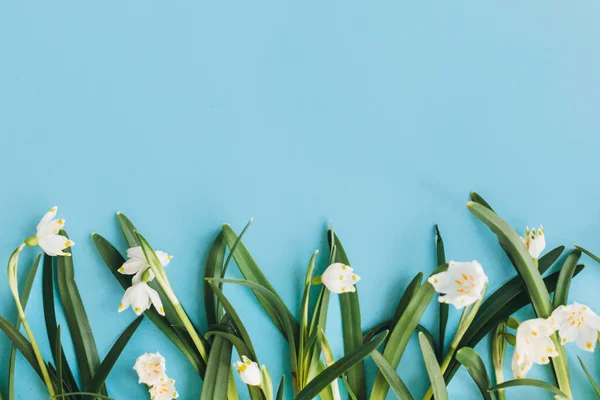 青い平地に白い花を咲かせます コピースペース付きの新鮮な春の花の花の流行の国境 スタイリッシュなグリーティングカード 幸せな女性の日の概念 幸せな母親の日 春の雪片 — ストック写真