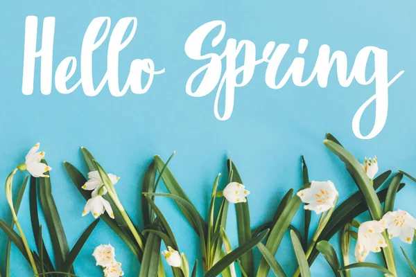 Hello Spring text with first spring flowers on blue background, flat lay. Stylish floral greeting card or poster template. Springtime. Floral  border of Spring snowflake