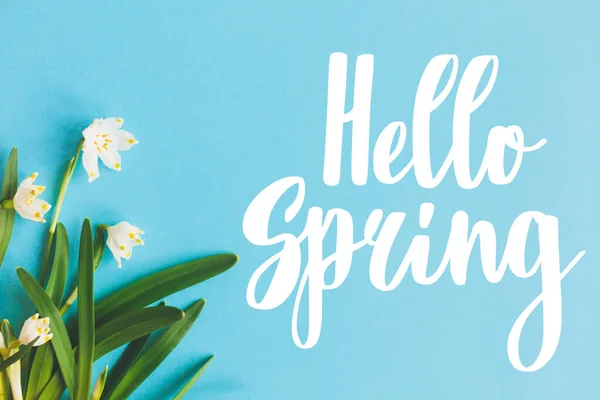 Hello Spring text with first spring flowers on blue background, flat lay. Stylish floral greeting card or poster template. Springtime. Floral  border of Spring snowflake