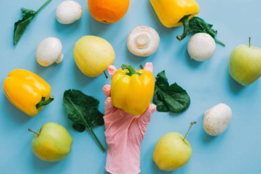 Mavi zemin üzerinde dolma biber toplarken pembe eldiven ve düz sebzeler. Karantinada güvenli alışveriş. İnternetten yemek sipariş et ve evde kal. Virüs salgınının önlenmesi.