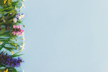 Bahar çiçeklerinin çiçekli sınırı mavi kağıdın üzerinde uzanıyordu. Mesaj için yer vardı. Tebrik kartı şablonu. Rengarenk çiçekler açıyor. Mutlu Paskalyalar. Anneler Günü. Merhaba bahar.