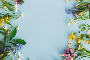 Mavi kağıt zemin üzerinde kır çiçekleri renkli çerçeve, metin için boşluk ile düz yatıyordu. Çiçek açan bahar çiçekleri, çiçekli tebrik kartı şablonu. Mutlu Paskalyalar. Anneler günü konsepti. Merhaba bahar.