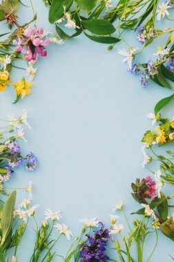 Bahar çiçeklerinin çiçekli çerçevesi mavi kağıdın üzerinde uzanıyordu ve metin için yer vardı. Tebrik kartı şablonu. Rengarenk çiçekler açıyor. Mutlu Paskalyalar. Anneler günü konsepti. Merhaba bahar.