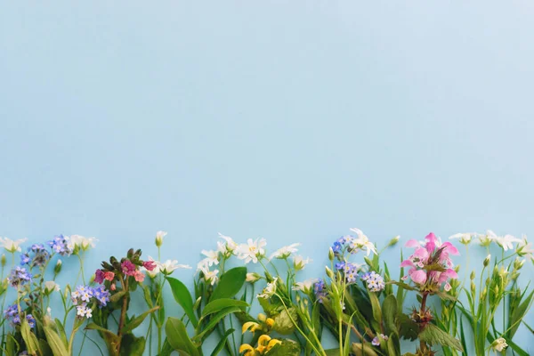 Flores Silvestres Borde Colorido Sobre Fondo Papel Azul Plano Con —  Fotos de Stock