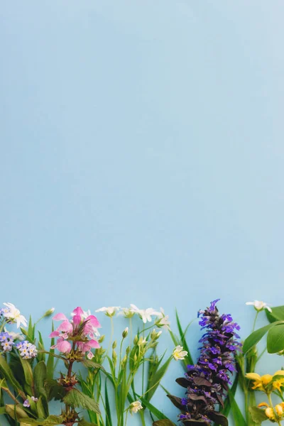 Flores Silvestres Borde Colorido Sobre Fondo Papel Azul Plano Con —  Fotos de Stock