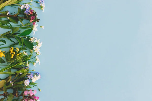Flores Silvestres Borde Colorido Sobre Fondo Papel Azul Plano Con —  Fotos de Stock