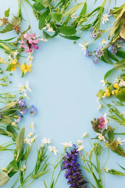 Wildflowers Colorful Frame Blue Paper Background Flat Lay Space Text — Stock Photo, Image