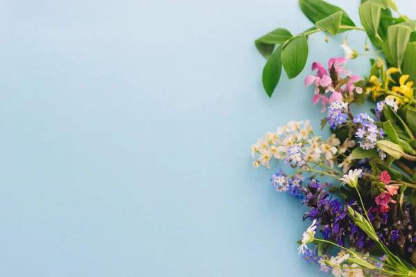 Bloemen Rand Van Lente Wilde Bloemen Blauwe Papieren Achtergrond Met — Stockfoto