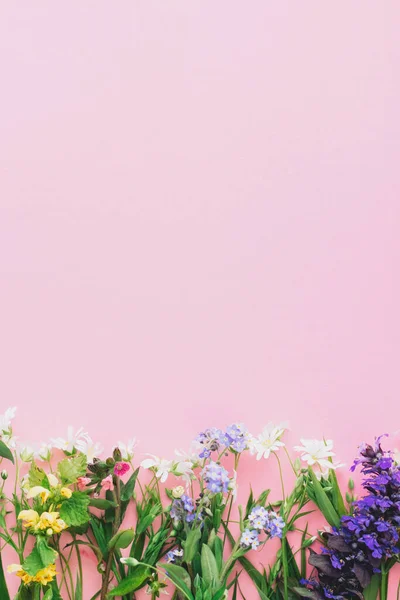 분홍색 배경에 국경선을 들꽃들은 지면에 수있는 있었다 주형을 이룬다 어머니 — 스톡 사진